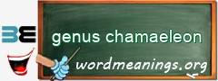 WordMeaning blackboard for genus chamaeleon